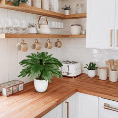 Hollyone Kunstpflanze Klein, 28 Cm Philodendron Pflanze Künstlich Mit Topf, Kunstpflanzen Wie Echt, Gefälschte Pflanze Für Badezimmer Deko Wohnzimmer Schlafzimmer Tischdeko