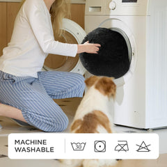 Paturi, cuverturi & mobilier, animale de companie, pisici, paturi pisici, Pisici - culcusuri, saltele