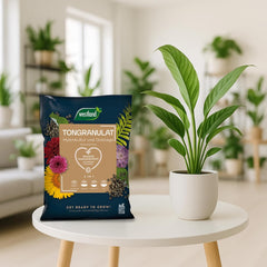 Westland Clay Granules, 5 L - Granules for plants ideal for hydroponics, drainage substrate without chemical additives, for indoor and outdoor use