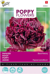 Flori de Mac Buzzy, Mac Negru Paeony