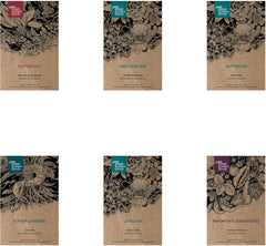 Fragrant plants - gift set with seeds and 6 plants with beautifully fragrant flowers