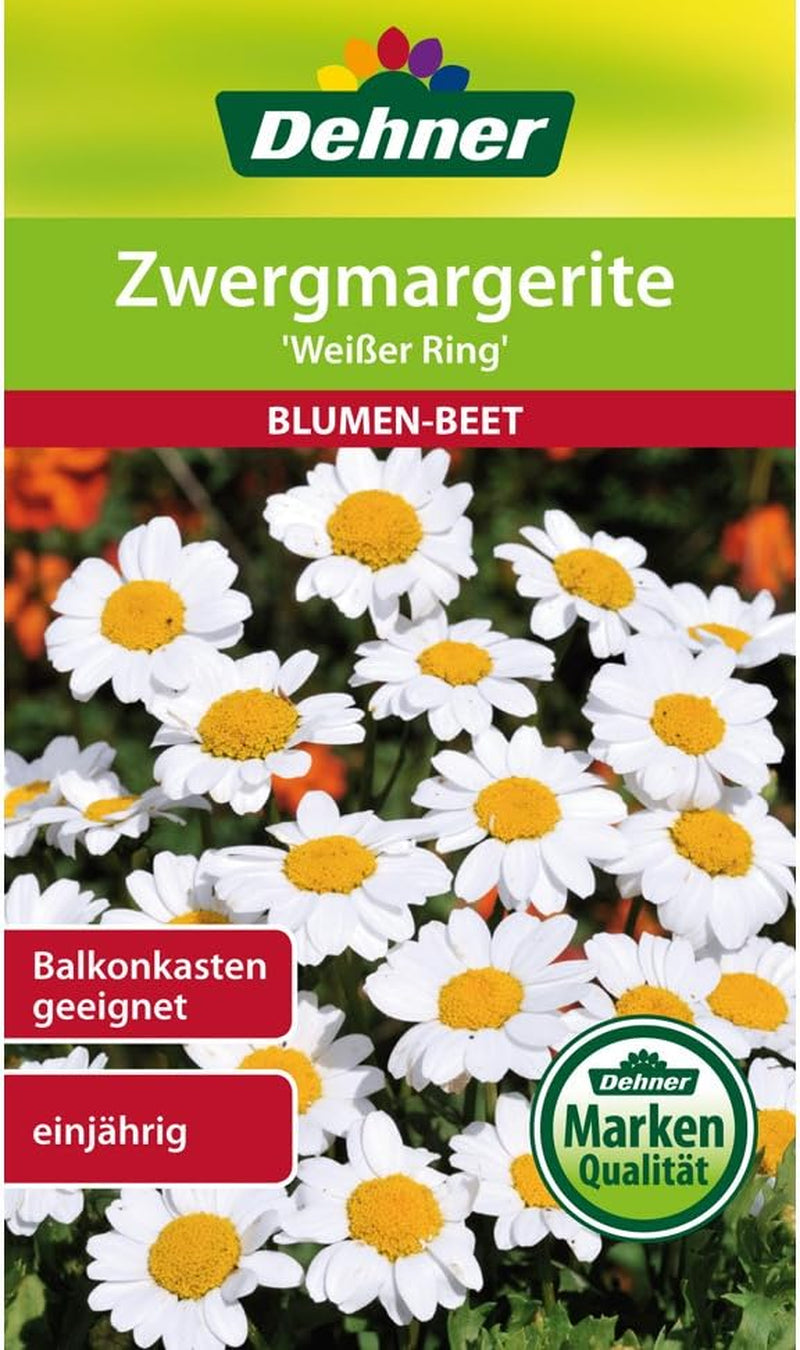 Dehner Blumen-Saatgut, Zwergmargerite "Weißer Ring", 5Er Pack (5 X 1 G)