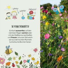 Die Stadtgärtner I 500 Bunte Blumenmurmeln – Lose & Unverpackt Zum Basteln Und Verschenken I Natürliche Geschenke Und Mitgebsel Für Kinder & Erwachsene