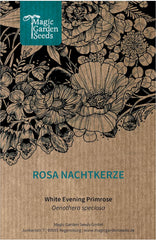 Rosa Nachtkerze (Oenothera Speciosa) Ca. 300 Samen Der MehrjÀhrigen Staude Steingartenpflanze PrÀriepflanze Blume Bienenweide