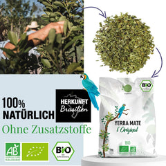 CEAI ORIGEENS BIO YERBA MATE 1 KG - Originalul I NeprÄjit, frunze, fÄrÄ tulpini, praf Èi firimituri I BÄuturÄ energizantÄ Èi detoxifiantÄ