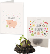 10x "Glück to grow" Semenbomben als Glückbringer 2026 & Blumensamen Geschenk | Mitbringsel Erwachsene & kleine Gastgeschenke Silvester - Kleeblatt Glückbringer Prüfung - inkl. Gift Cards Set