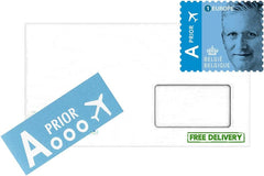 Poppy flowers Buzzy Poppy Iceland