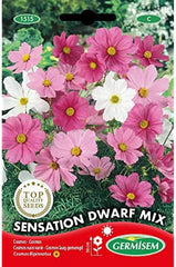 Jewelry basket, multicolored, EC1515