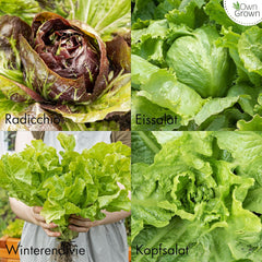Lettuce Seeds: Set of 8 Varieties of Salad Seeds for the Garden and Balcony - Lettuce Seeds, Mustard Leaf, Lamb's Lettuce (Hardy), Radicchio, Endive Seeds, Chicory - Salad Vegetable Seeds from OwnGrown