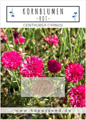 Kornblumen Samen (Centaurea Cyanus) - Wunderschön Leuchtende Blumen Mit Langer BlĂŒtezeit FĂŒr Eine Bunte Blumenwiese (Rot, 1000 Korn, 80 Cm)