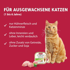 Hrană umedă pentru pisici Adult Pure & Mild cu pui și catnip (32 x 100 g), pentru pisici sensibile, fără cereale și fără zahăr, hrană umedă ușor digerabilă cu pui