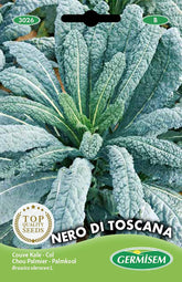 Palmkohl NERO DI TOSCANA, Mehrfarbig, EC3026