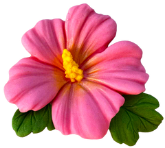 DeliciiPetale Decoratiune Comestibila Floare De Hibiscus - Dimensiune 9.5 cm, Atractie Decorativa Pentru Prajituri