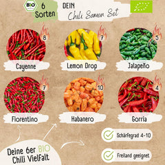 Organic Chili Seed Set - 6 Organic Chili Seeds, Mild to Extremely Spicy, Free Pollinated Quality | from spicy Habanero to colorful and traditional chili varieties – Pepperoni Seeds