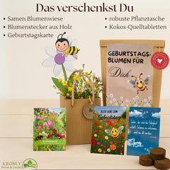 Birthday Gift, Birthday Flower Planting Kit, Surprise Gift Bag, Birthday Gift for Women, Flower Seeds for Individual Planting