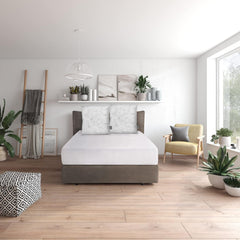 Traumnacht Green Basic Pillow Set format din două perne 80 X 80 Cm, certificat Oeko-Tex, produs în conformitate cu standardul de calitate german Perne standard Naty Shop 80X 80 Cm