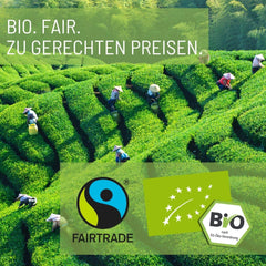 Teeverliebt - Ceai de fructe vrac Mango & Orange 1000 G I Ceai de fructe vrac I Amestec de ceaiuri de vară din culturi ecologice controlate I Ceai de fructe organic vrac 1 kg