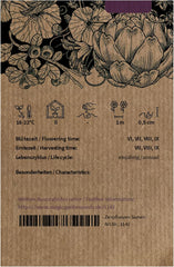 Ăthiopische Eierfrucht (Solanum Aethiopicum) 20 Samen Afrikanische Sorte