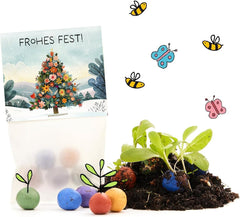 10 X Blumenmurmeln "Frohes Fest" | Kleines Geschenk & Nachhaltiges Mitgebsel Zu Weihnachten | Saatbomben FĂŒr Kollegen, GĂ€ste & Kinder | Kleinigkeit Zum Advent, Adventskalender-FĂŒllung Oder Nikolaus