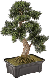 4103 61 Cm Zedern-Bonsai-Seidenpflanze, Grün