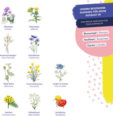 Dried Flowers - 10 Varieties of Free Pollinated Flowers - Everlasting and Beautiful - Seed Set for Beginners, as a Small Gift or for Personal Use