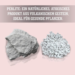 LERAVA® Perlite for Plants (5L) – Coarse-grained perlite for soil improvement – Ensures optimal drainage and aeration – Natural soil and hydroponics additive – Granules for plants