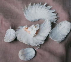 Edible decoration, Baptism, Girl