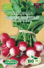 Radieschen OSTERGRUSS ROSA 2, ECBIO9036