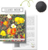 Iceland Poppy Seed Mix (Papaver nudicaule) - Beautiful flowering poppies with a long flowering period for a colorful flower meadow (Iceland Poppy)