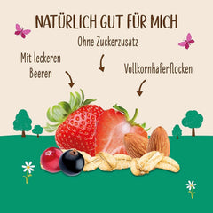 Allos, unsweetened berry muesli, package 5 x 500 grams Cereals Naty Shop