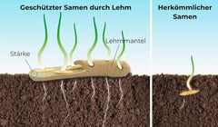 Flower seeds in a protective clay coating for bees and butterflies, 400g. Mixture of perennial and winter-hardy wild flowers for 20 m². Beautiful wildflower seeds for a colorful bee pasture. Gift for children.