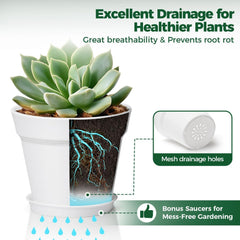 T4U Ghiveci de flori din plastic de 16 cm cu farfurie, set de 6 ghivece din plastic pentru plante aromatice cu găuri multiple de drenaj, ghiveci rotund pentru plante suculente de interior și balcon, cactuși, alb