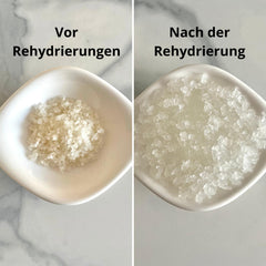 Natural Probio® Wasserkefir, Kefirpilz, Japankristalle, Kefirknollen, Starter Set + Anleitung, Rezept, Tipps, E-Book & Rezeptbibliothek + Kundenservice auf Lebenszeit (10g dehydrated/60g rehydrated)