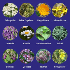 Magic Garden Seeds - Central European Medicinal Plant Seed Set - 12 Traditional Varieties of Popular Medicinal Plants - Heirloom Varieties - Garden Accessories - Plant Seeds - Gift for Garden Lovers