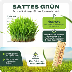 SEHR GUT Getestet | Rasensamen Schnellkeimend 1Kg Für 40M² | Frühjahr Sport Und Spiel Rasen | Grassamen Trockenresistent Für Rasensaat Und Nachsaat