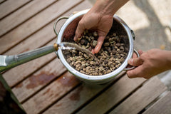 Floragard Green Jungle Mix 6 L - mineral substrate for planting Monstera, Philodendron - ensures optimal drainage and healthy root growth - ideal for demanding houseplants