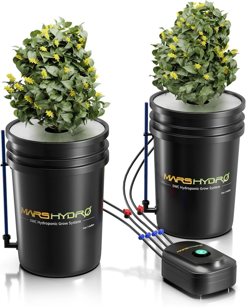 Mars Hydro DWC Hydroponic Grow System, 5 Gallon Deep Water Grow, 8W Air Pump, Multipurpose Air Hose, Air Stone, 2 Buckets and Drip Pot Kit