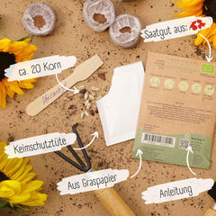 Organic sunflower seeds, branched, 20 sunflower seeds with a high germination rate, sunflower seeds for the garden, balcony, flowerbed or guest gift. Free pollinated flower seeds.