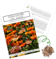 Calendula seeds (Calendula officinalis) - Versatile medicinal plant with edible flowers and ideal for a colorful flower meadow (Abendrot)