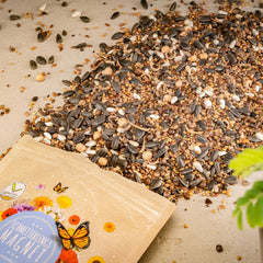 100g Butterfly Seeds for a Colorful Flower Meadow - Colorful and Nectar Rich Wild Flower Seed Mix for Butterflies