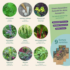 Magic Garden Seeds - The Monastery Garden: Vegetables and Herbs from the Middle Ages - 9 Historic Culinary, Medicinal and Garden Seed Box