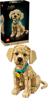 LEGO Icons Golden Retriever Welpe - Modellbau für Erwachsene - 3D Tierfigur zum Ausstellen mit Halsband & Medaille - DIY Deko für Regal oder Schreibtisch - Geschenkidee für Kunst- & Bastelfans - 11384