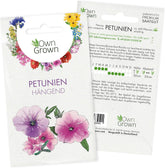 Petunia Seeds: Premium petunia seeds for around 400 petunia plants – Beautiful petunia seeds for balcony and garden plants – Flower seeds – Creeper petunia seeds – OwnGrown balcony flowers