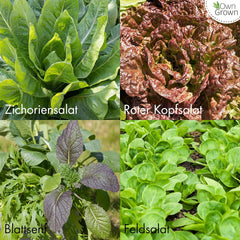 Lettuce Seeds: Set of 8 Varieties of Salad Seeds for the Garden and Balcony - Lettuce Seeds, Mustard Leaf, Lamb's Lettuce (Hardy), Radicchio, Endive Seeds, Chicory - Salad Vegetable Seeds from OwnGrown