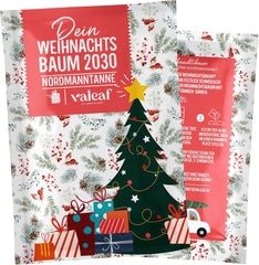 Christmas Tree 2030 - Nordmann Christmas tree seeds for planting a Christmas tree, ideal as a Secret Santa Christmas gift