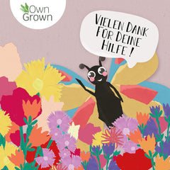 Butterfly Meeting Flower Mix: 100g Premium Butterfly Flower Seeds - Insect Friendly Bee Seeds, Perennial and Annual Flower Seeds for Meadows - Wildflower Seeds from OwnGrown