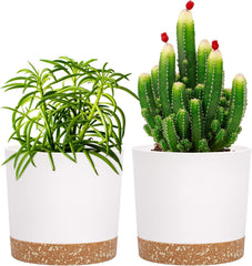 Ghiveci de flori set de 2 12,7 cm, ghivece pentru plante de interior cu găuri de drenaj și bază detașabilă, farfurioare decorative moderne pentru jardiniere de grădină de exterior (alb 12,7 cm)