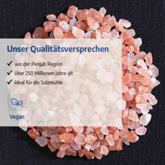 Govinda Kristallsalz - coarse (1kg) | 250 Millionen Jahre alt | Salz aus der Punjab-Region | 100% natural beauty & ohne Zusätze | Ayurvedic | Vegan | Ideal for the salt mill