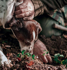 - Black truffle flavor concentrate 30 ml, professional use Arome Naty Shop