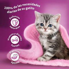 Hrană umedă pentru pisici Whiskas, Junior Classic, 13 x 4 x 85 g